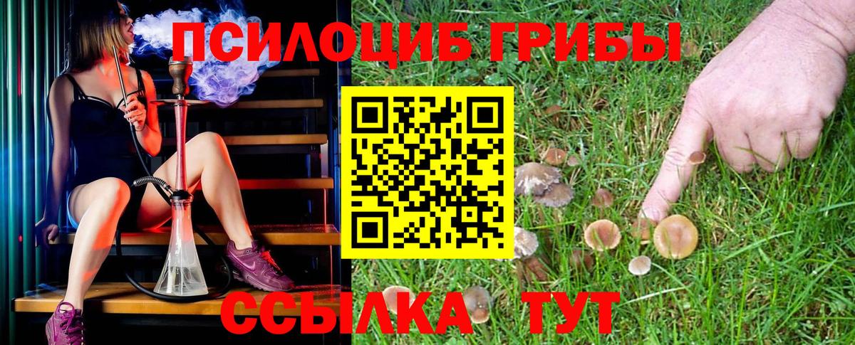 Псилоцибиновые грибы GOLDEN TEACHER  Вход с VPN  Ухта 